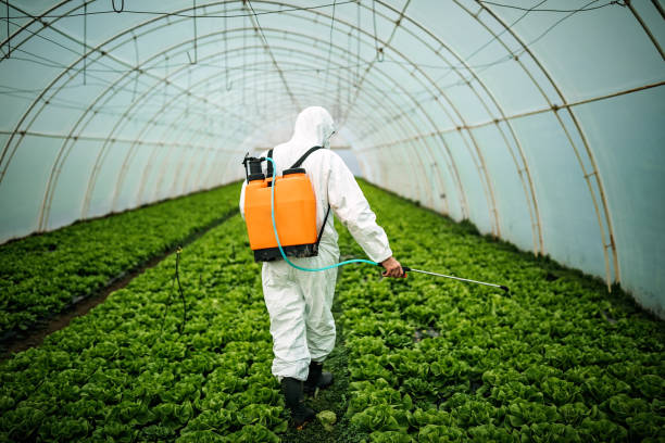 Best Pest Removal Services  in Whitmire, SC