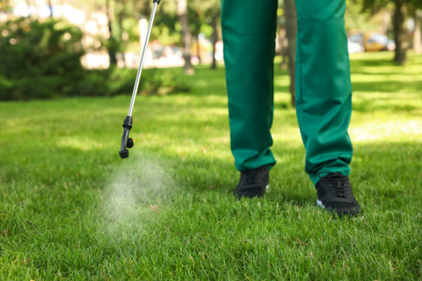 Reliable Whitmire, SC Pest Control Solutions