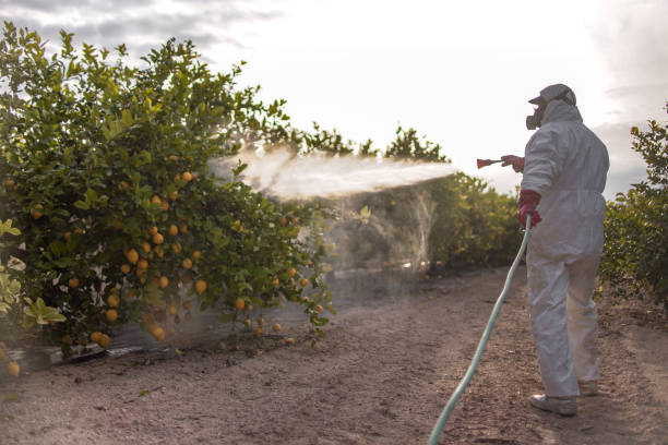 Best Pest Prevention Services  in Whitmire, SC