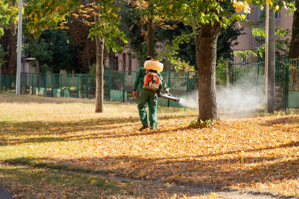 Best Commercial Pest Control Services  in Whitmire, SC